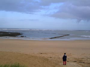 Les cluses  poissons sur la plage des Sables Vigniers.