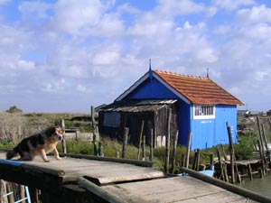 Cabane sur la route de l'hutre.