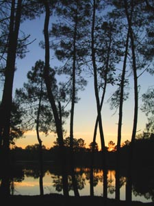 Lever de soleil  Hostens.