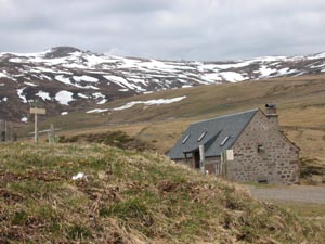 Le Plomb du Cantal, vu du col de Prat de Bouc.