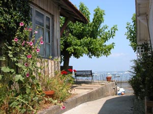 Le village de l'Herbe sur la commune du Cap-Ferret.