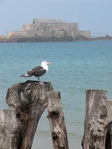 Le Fort National.