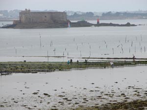 Le chteau du Taureau vu de la pointe de Barnnez.