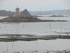 L'ile Lout vue de la pointe de Barnnez.