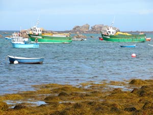 Lilia: bateaux gomoniers.