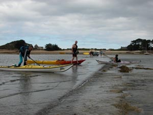 Des kayakistes arrivent trop tard pour traverser la route...