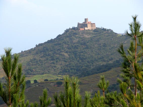 Le Fort Saint Elme.