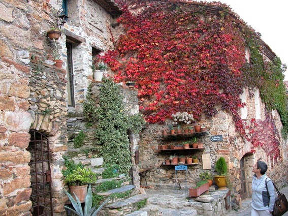 Castelnou - Ille sur Tt - Gorges de Galamus- Chteau de Quribus.