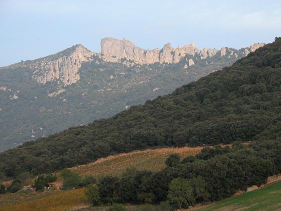 Le chteau de Peyrepertuse commence  apparatre au sommet des falaises.