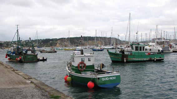 Le port de Morgat.
