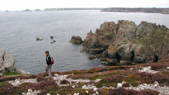 Les superbes falaises dchiquetes de la Pointe de Dinan.