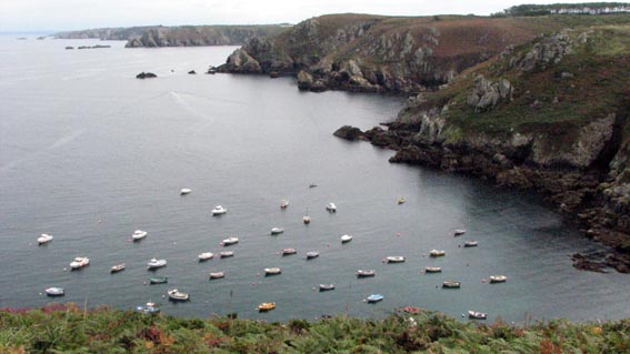 Le petit port que domine la Pointe de Brezellec.