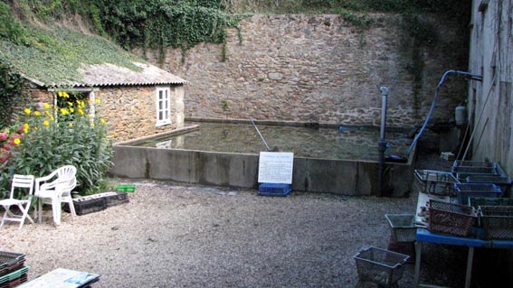 Bassin d'affinage du chteau de Belon.