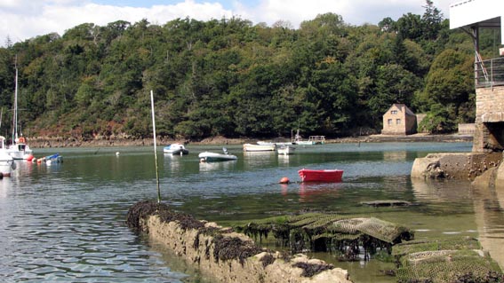 Le port de Belon.