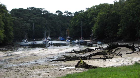 Epaves de bateaux, telles des squelettes de ctacs, qui gisent dans la vase en amont du port de Brigneau.