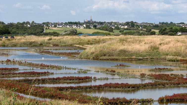 Les marais de Gurande