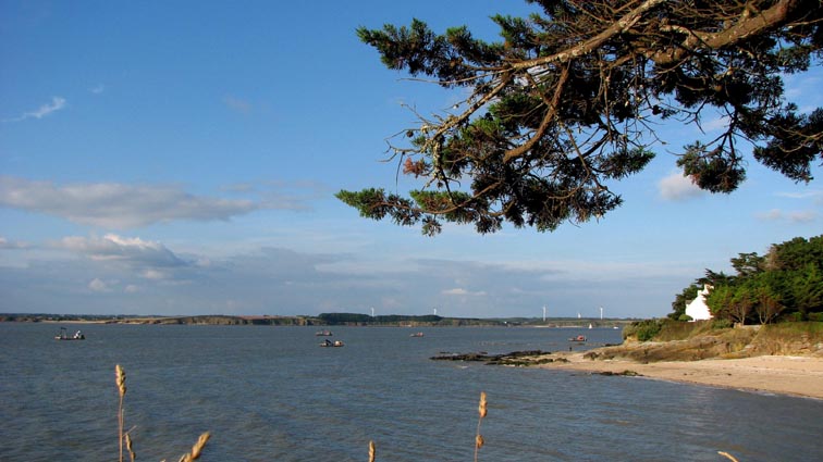 Estuaire de la Vilaine.