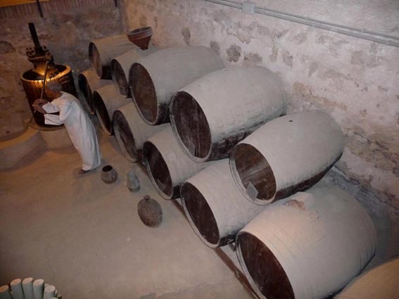 Les caves sont amnages en muse du vin.