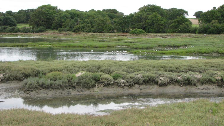 Baie de Kerdran.