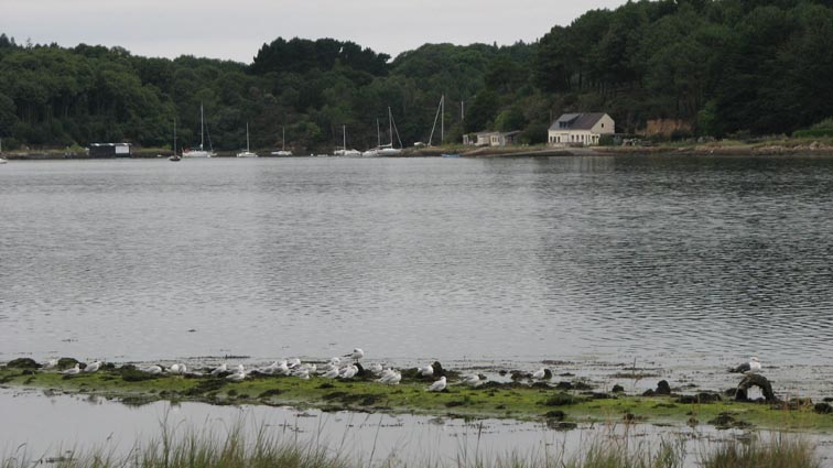 Baie de Kerdran