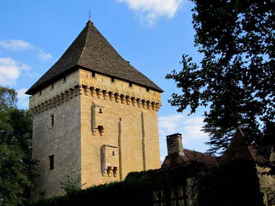 Le donjon du Manoir de la Salle  Saint Lon-sur-Vzre