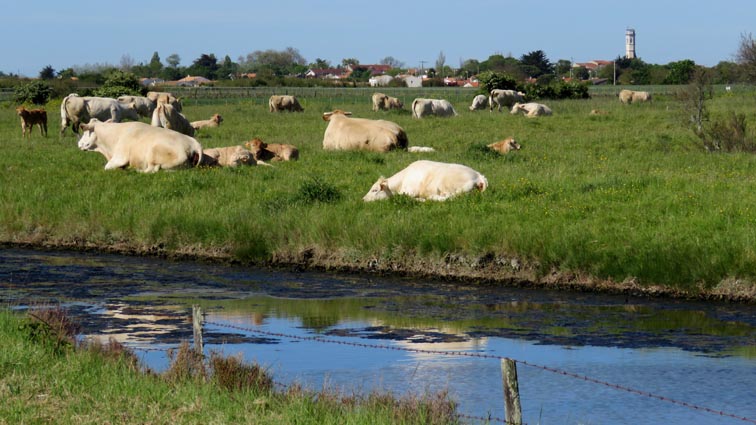 Itinrances entre le Morbihan et l'Aquitaine