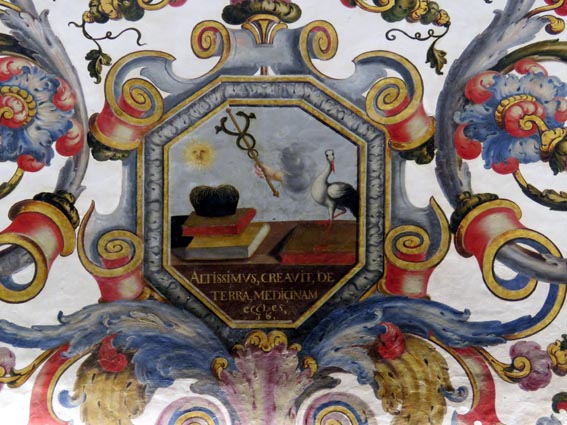 Plafond de la salle des examens privs de l'Universit de Coimbra