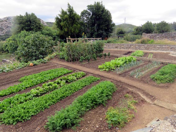 Potagers  Vailhan