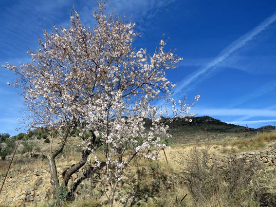 Rioja - Navarre