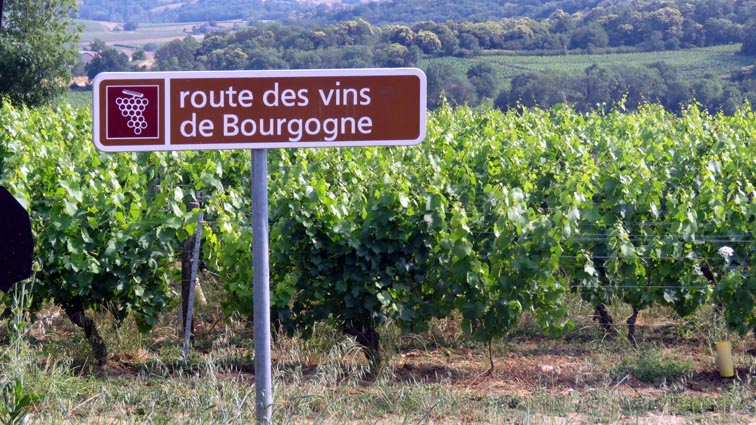 Route des vins de Bourgogne
