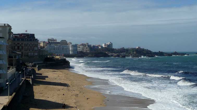 Pays basque : les algues vertes envahissent le littoral