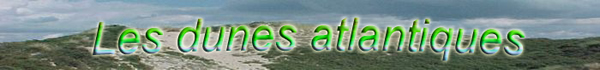 Les dunes atlantiques.