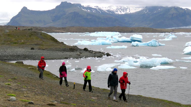 Vik - Skaftafell - Svartifoss - Jokulsarlon - Hfn