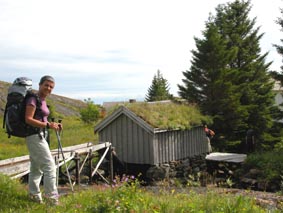 Le moulin  eau de Nesland