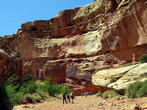 Grand Wash Trail