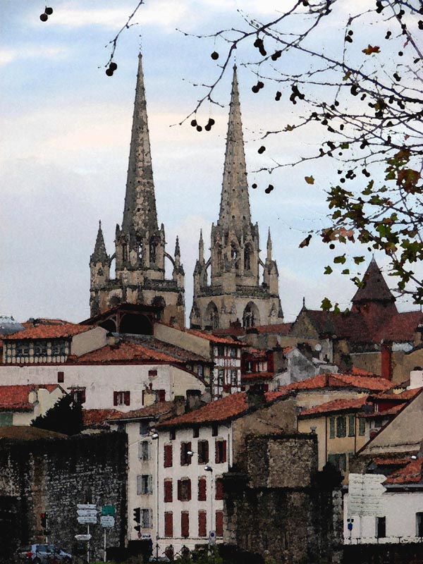 Les maisons du Grand bayonne, domines par les flches de la cathdrale Sainte Marie...