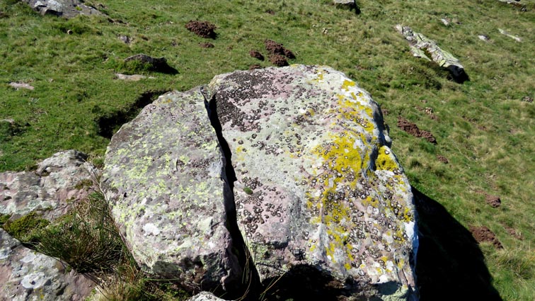 Deux meules toutes proches