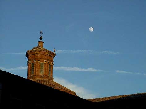 Cigognes sous la lune...