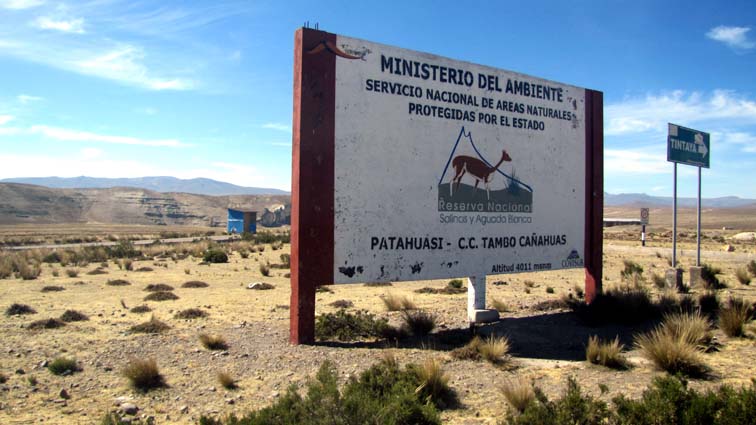 Réserve nationale de Pampa Cañahuas (4011m)