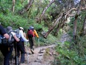 Wayllabamba - Col de Warmiwanusca - Pacay Mayo