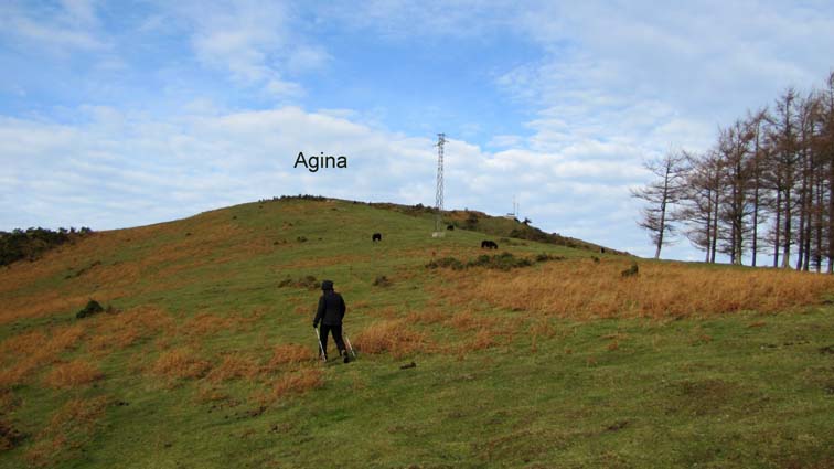 Le sommet d'Agina