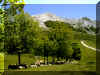 A l'arri�re Arbelaiz