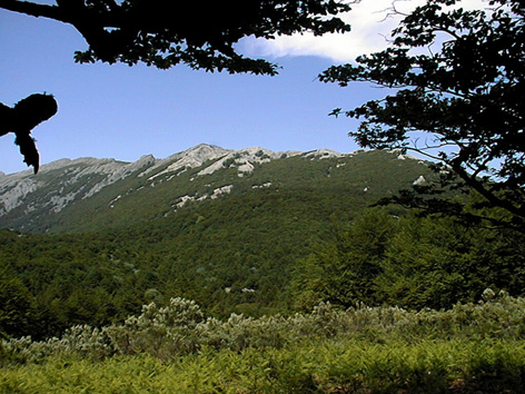 Vue du col d'Askiolagaina
