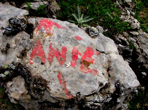 La pierre sur-laquelle « Anie » est inscrit en rouge.