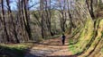 Arrokagaray par le versant Nord