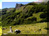 Cromlech et Harrigorri au fond.