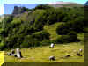 Cromlech, Harrigorri et Autza.