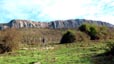 Berrendi