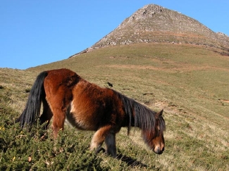 Le sommet de Buztanzelhay.