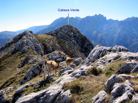La Cabeza Verde vue depuis la Cabeza del Covu.